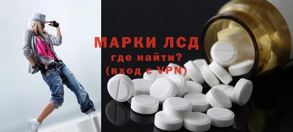 хмурый Алзамай