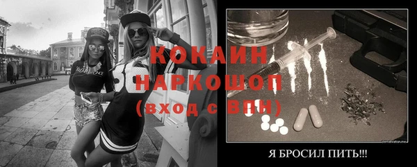 спиды Болотное