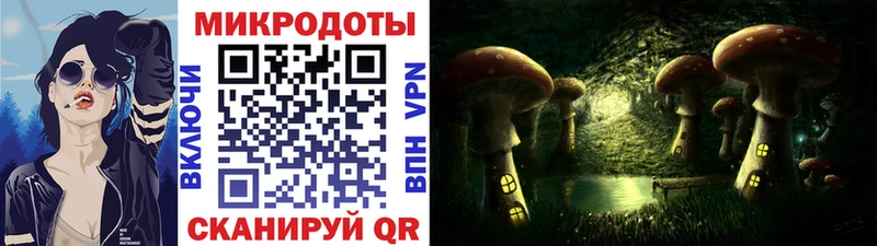 KRAKEN как зайти  Коряжма  Галлюциногенные грибы мухоморы 