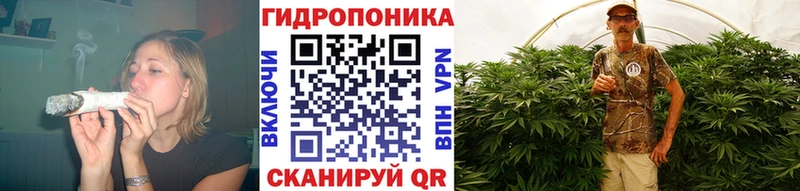 Бошки марихуана VHQ  Коряжма 